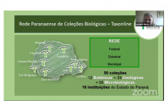Seminário do NAPI Taxoline  -  Foto: Fundação Araucária