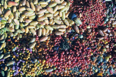 Paraná inicia parceria com Suécia para enfrentamento no desperdício de alimentos
.  -  Foto: Alessandro Vieira/AEN