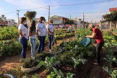 Visita a Horta Marumbi ?  A equipe da Secretaria da Agricultura e do Abastecimento do Paraná recebe equipe da SEAB Rondônia para apresentar soluçoes implantadas em Curitiba sobre o cultivo de alimentos. 03/09/2021 - Foto: Geraldo Bubniak/AEN