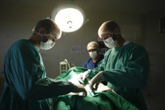 Paraná destina R$ 1.2 milhão para Hospitais Veterinários das Universidades Estaduais
Foto: UEM
