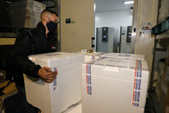 A Secretaria de Estado da Saúde recebeu nesta segunda-feira (6) mais 115.782 doses de vacinas contra a Covid-19. As doses da Pfizer/BioNTech desembarcaram no Aeroporto Internacional Afonso Pena, em São José dos Pinhais, às 15h30, no voo LA4791 e são referente à 53% da segunda dose (D2) da 28ª pauta.  -  Curitiba, 06/09/2021  -  Foto: Ari Dias/AEN
