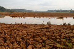 Sanepar divulga tabela de rodízio em Curitiba e RMC até 15 de setembro
   Foto Gilson Abreu
