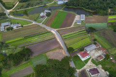  O produtor Bruno Schules, 32, de São José dos Pinhais, na Região Metropolitana de Curitiba (RMC), é um dos agricultores que trabalham com olericultura no Estado e recebem atendimento da Emater.  -  São José dos Pinhais, 04/04/2019  -  Foto: José Fernando Ogura/ANPr