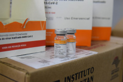 O Paraná recebeu mais 187.800 vacinas contra a Covid-19 da CoronaVac/Butantan neste sábado (4). As vacinas foram entregues no Centro de Medicamentos do Paraná (Cemepar) para conferência e armazenamento até que sejam descentralizados. A remessa faz parte da 47ª pauta de distribuição.  -  Curitiba, 04/09/2021  -  Foto: Américo Antonio/SESA