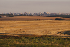 Cascavel. Foto: Jonathan Campos/AEN