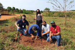 Em diversas cidades do Paraná, as ações em comemoração ao Dia da Árvore (21) ocorrem durante toda a semana. As iniciativas são promovidas pelos 21 Escritórios Regionais do Instituto Água e Terra (IAT) conforme a demanda de cada região. O IAT é um órgão vinculado à Secretaria de Estado do Desenvolvimento Sustentável e do Turismo (Sedest). -  Curitiba, 22/09/2021  -  Foto: IAT/SEDEST