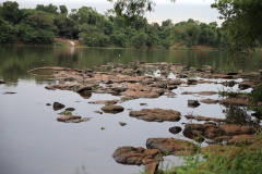 Primavera começa com dois terços do Paraná em estiagem. Foto: Geraldo Bubniak/AEN