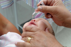 Paraná realiza Campanha de Multivacinação para crianças e adolescentes. Foto: Venilton Kuchler/Arquivo SESA