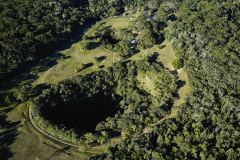Paraná é líder em sustentabilidade ambiental no Brasil  -  Foto: Denis Ferreira Netto/Arquivo IAT