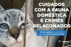 Duas lives, nesta quinta e sexta-feira (07 e 08) destacam os cuidados e a criminalização aos animais domésticos e silvestres no Estado do Paraná. As lives começam às 16 horas, transmitidas ao vivo pelo Canal do Youtube da Secretaria do Desenvolvimento Sustentável e do Turismo (Sedest). - Foto: SEDEST