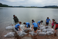 Rio Iguaçu recebe mais 310 mil peixes nativos juvenis. Foto: SEDEST 