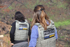 A Seção de Crimes Ambientais, vinculada ao Instituto de Criminalística da Polícia Científica do Paraná, desde a sua criação, em dezembro de 2019, tem atuado com peritos criminais, especialistas na área, com intuito de comprovar a prática de condutas criminosas contra a fauna, a flora e à natureza no geral. - Curitiba, 14/10/2021 - Foto: SESP-PR