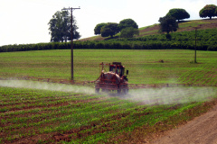 Decreto federal estabelece novas regras para registro e pesquisa de agrotóxicos  -  Curitiba, 15/10/2021 - Foto: Adapar
