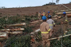 Nas últimas 24 horas, mais de 40 mil domicílios tiveram o fornecimento de energia regularizado pelas equipes de emergência, manutenção e obras da Copel, que seguem trabalhando para recompor as redes elétricas danificadas pelas chuvas que atingiram as regiões Oeste e Noroeste do Estado no fim da semana. Na foto, Equipes trabalham nos reparos em Francisco Alves  -  Curitiba, 16/10/2021  -  Foto: Copel 