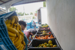 Paraná lança III Plano Estadual de Segurança Alimentar e Nutricional. Foto: Gilson Abreu/AEN