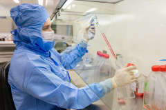 A Agência Nacional de Vigilância Sanitária (Anvisa) liberou no início deste mês o estudo clínico de?um produto de terapia celular avançada para tratamento de pacientes com pneumonia viral em decorrência da Covid-19. O ensaio clínico na fase 1/2a faz parte de um dos projetos de pesquisa aprovados no edital interno da PUCPR, lançado em 2020, que contou com o subsídio do Banco Regional de Desenvolvimento do Extremo Sul. -  Curitiba, 19/10/2021 - Foto: Gian Galani/Divulgação PUCPR