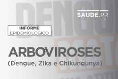 Informe da dengue registra 37 novos casos da doença no Paraná. Imagem:SESA