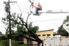 O balanço dos estragos causados pelo temporal contabiliza quase 1,2 mil postes e nove torres de transmissão derrubados pela força dos ventos e pela queda de galhos e árvores. Cidades inteiras chegaram a ficar sem energia e para recompor o fornecimento de luz, desde a madrugada do dia 14, cerca de 1.800 eletricistas estiveram em campo. Mais de 20 mil ocorrências foram atendidas, a fim de regularizar o fornecimento. - Curitiba, 21/10/2021 - Foto: Copel