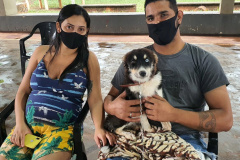 CENTENÁRIO DO SUL  -  O Castramóvel passou por sete municípios neste mês. Ao todo, foram esterilizados 855 cães e gatos, uma média de 147 por município. Nesta quarta e quinta-feira (27 e 28), o programa chega a Bandeirantes, onde são esperados 116 animais.  -  Curitiba, 26/10/2021 - Foto: SEDEST