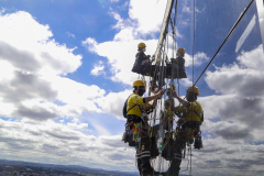 Com nove meses consecutivos de saldo positivo, Paraná chega a 168,5 mil empregos criados em 2021 Foto: Gilson Abreu/AEN
