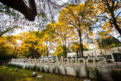 Termina quinta (28) as inscrições para professores temporários na UEM. Foto: UEM