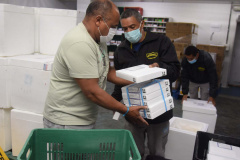 Estado recebe novas doses de vacinas contra a Covid-19 para adolescentes . Foto: Américo Antonio/SESA