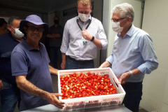 Entrega de pavimentação de estrada rural e de máquinas, caminhão e equipamentos para cooperativas de agricultura familiar, inauguração de cozinha comunitária. Estas foram algumas das ações dos secretários estaduais da Agricultura e do Abastecimento, Norberto Ortigara, e do Planejamento e Projetos Estruturantes, Valdemar Bernardo Jorge, na semana passada na região do Norte Pioneiro. - Curitiba, 08/11/2021 - Foto: SEAB