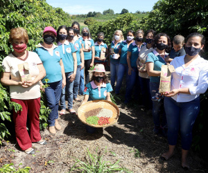 Projeto Mulheres do Café valoriza produtoras e garante fama internacional ao Norte Pioneiro. Foto: Ari Dias/AEN