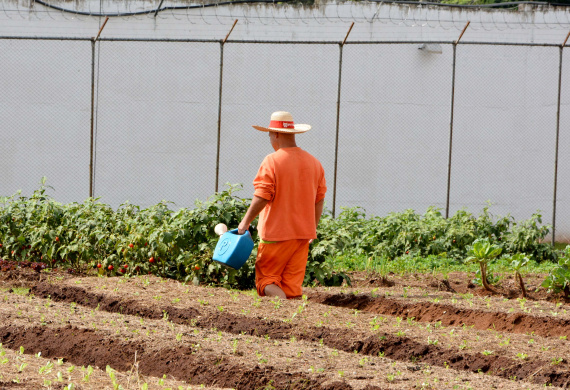 Modelo de tratamento penal do Paraná é referência nacional em ressocialização