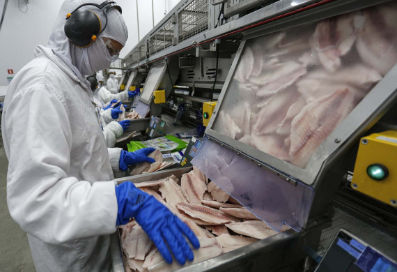 Palotina - 10-10-2020 - Cooperativa C Vale - Industria de Aves e Tilapia  - Foto : Jonathan Campos / AEN