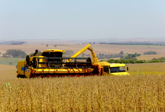 O Paraná que alimenta o mundo. A Agência Estadual de Notícias (AEN) começa a retratar a partir deste mês, em uma série de reportagens, a pujança do Estado na produção de proteínas, grãos, hortaliças, frutas, produtos florestais e outras grandes culturas.   -  Curitiba, 22/02/2021 