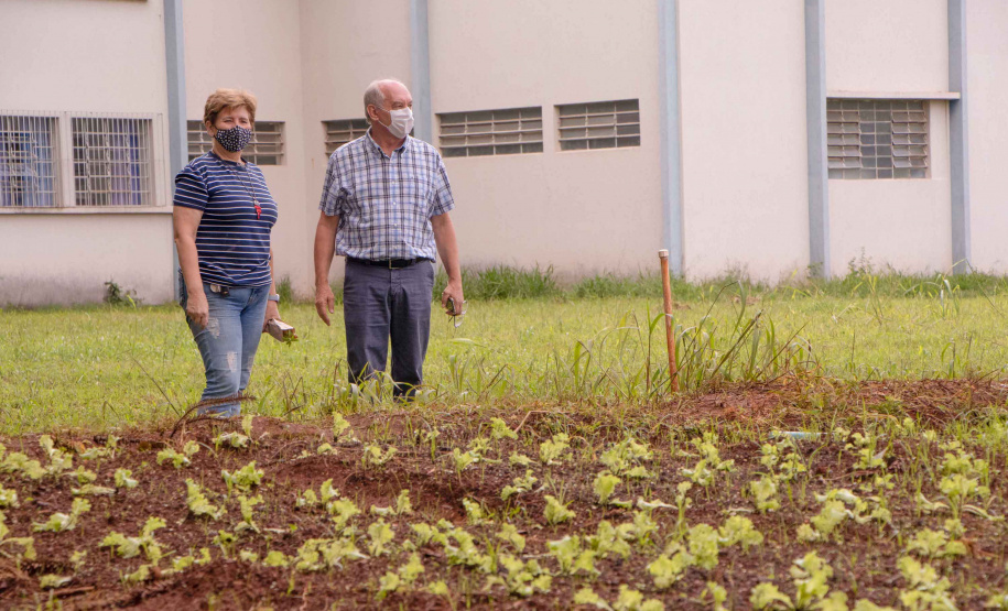 Em parceria com colégio agrícola, hospital da UEPG troca resíduos orgânicos  por ervas para chás | Agência Estadual de Notícias