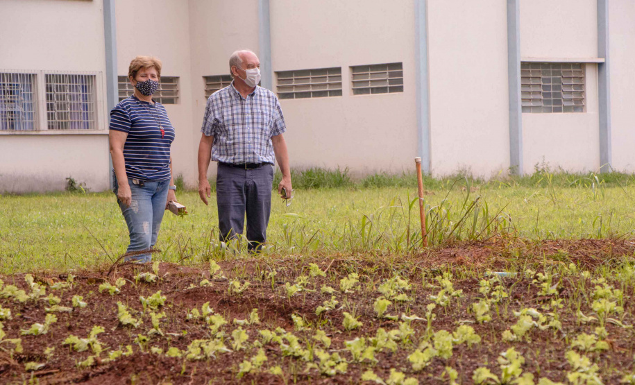 Em parceria com colégio agrícola, hospital da UEPG troca resíduos orgânicos por ervas para chás | Agência Estadual de Notícias Em parceria com colégio agrícola, hospital da UEPG troca resíduos orgânicos por ervas para chás | Agência Estadual de Notícias