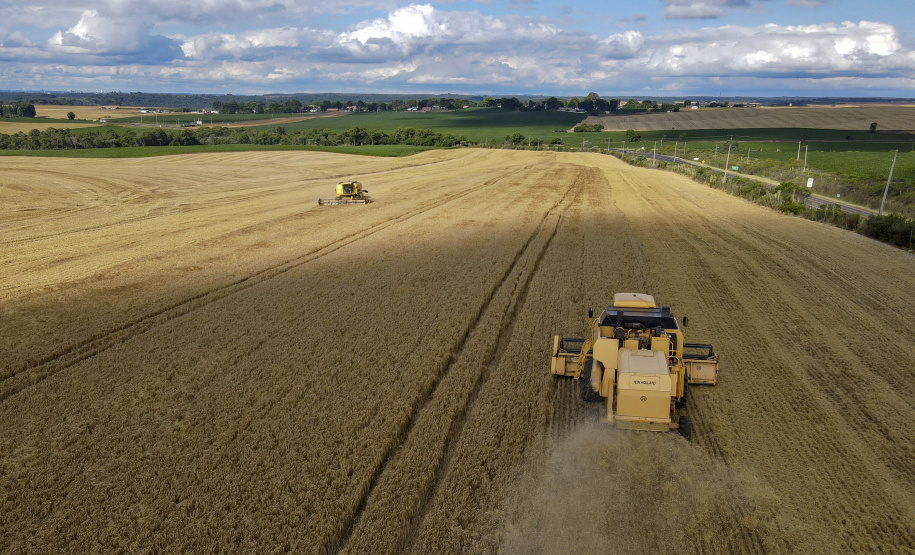 Com VBP agrícola de R$ 84,1 bilhões, Paraná lidera produção nacional de cevada, feijão e mandioca 