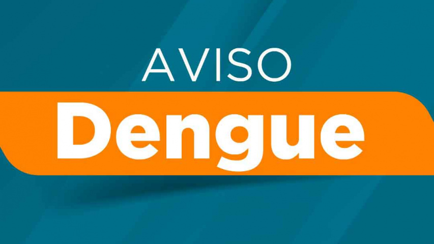 INFORME DENGUE